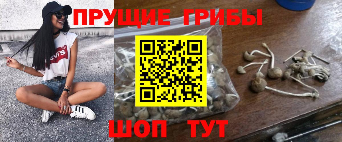 Псилоцибиновые грибы мухоморы Нижний Тагил