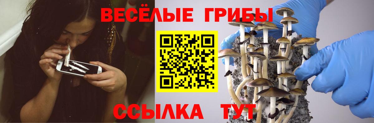 Галлюциногенные грибы Magic Shrooms  Вход с VPN  Псилоцибиновые грибы MAGIC MUSHROOMS  Нижний Тагил 
